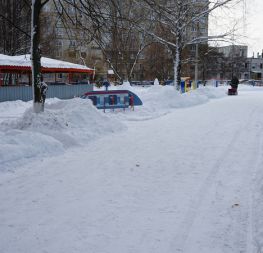В Тамбове проверили, как идет уборка снега с территорий детских садов и школ